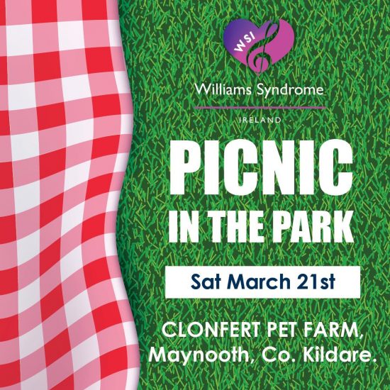Notice for Picnic in the Park 2020